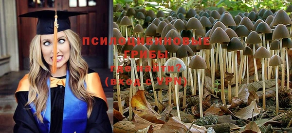гашишное масло Липки