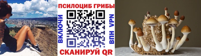 Галлюциногенные грибы Psilocybe  Купить  Анива 